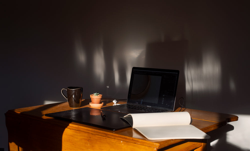 home-office-bathed-in-sunlight
